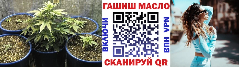 Купить закладки  Ивангород  ТГК вейп 